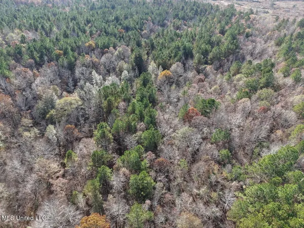 $492,000 | 0 Greenland Road, Little Rock, MS 39337