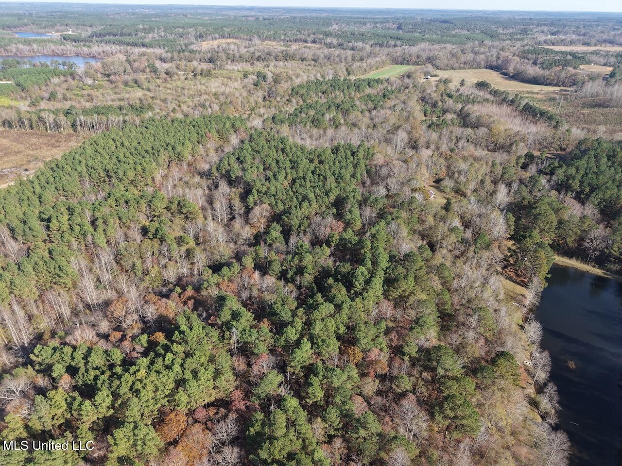 0 Greenland Road Little Rock, MS 39337 - Photo 24 of 40 dji_fly_20251122_134846_0107_17640148684