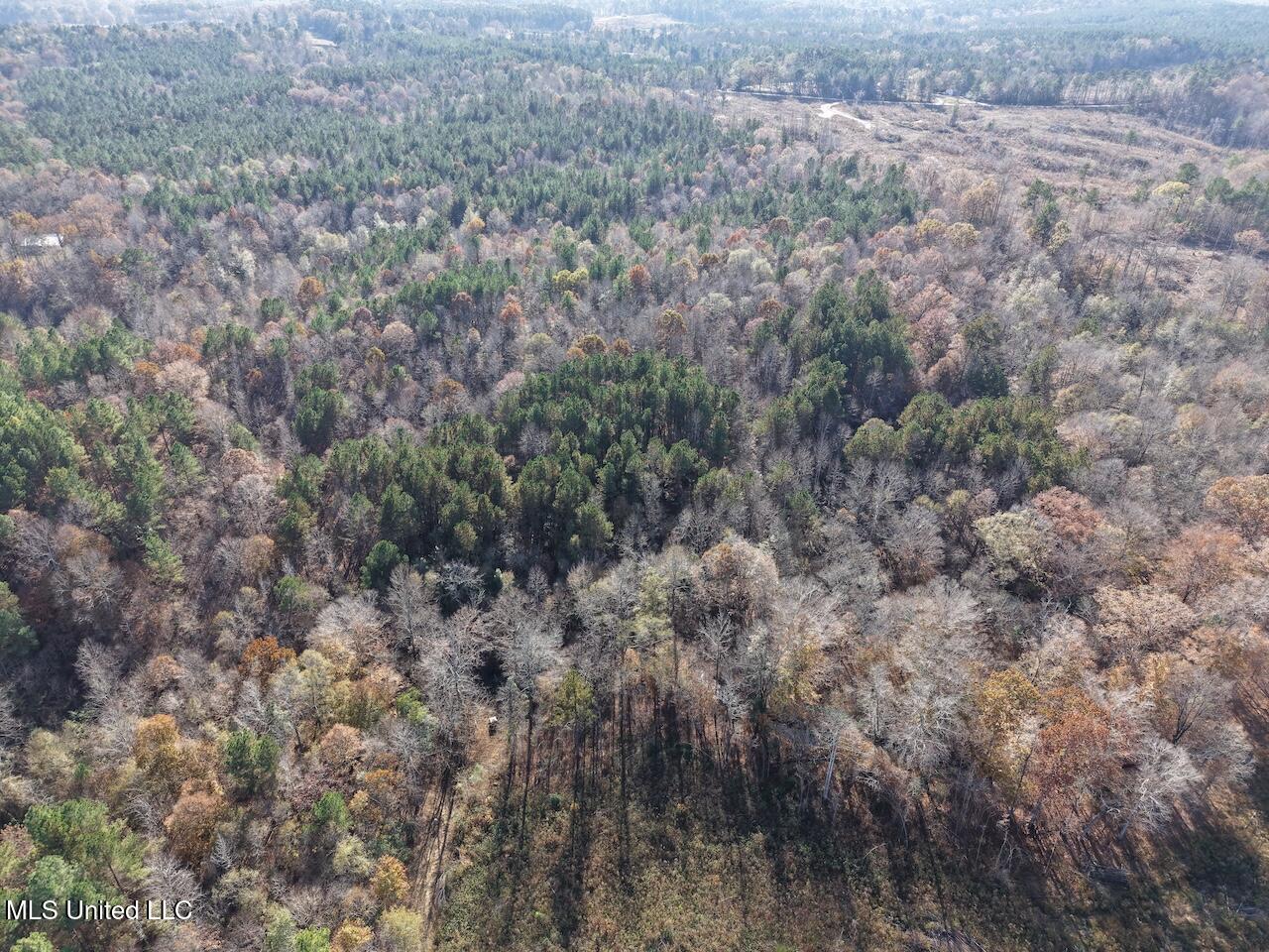0 Greenland Road Little Rock, MS 39337 - Photo 27 of 40 dji_fly_20251122_135020_0110_17640148654