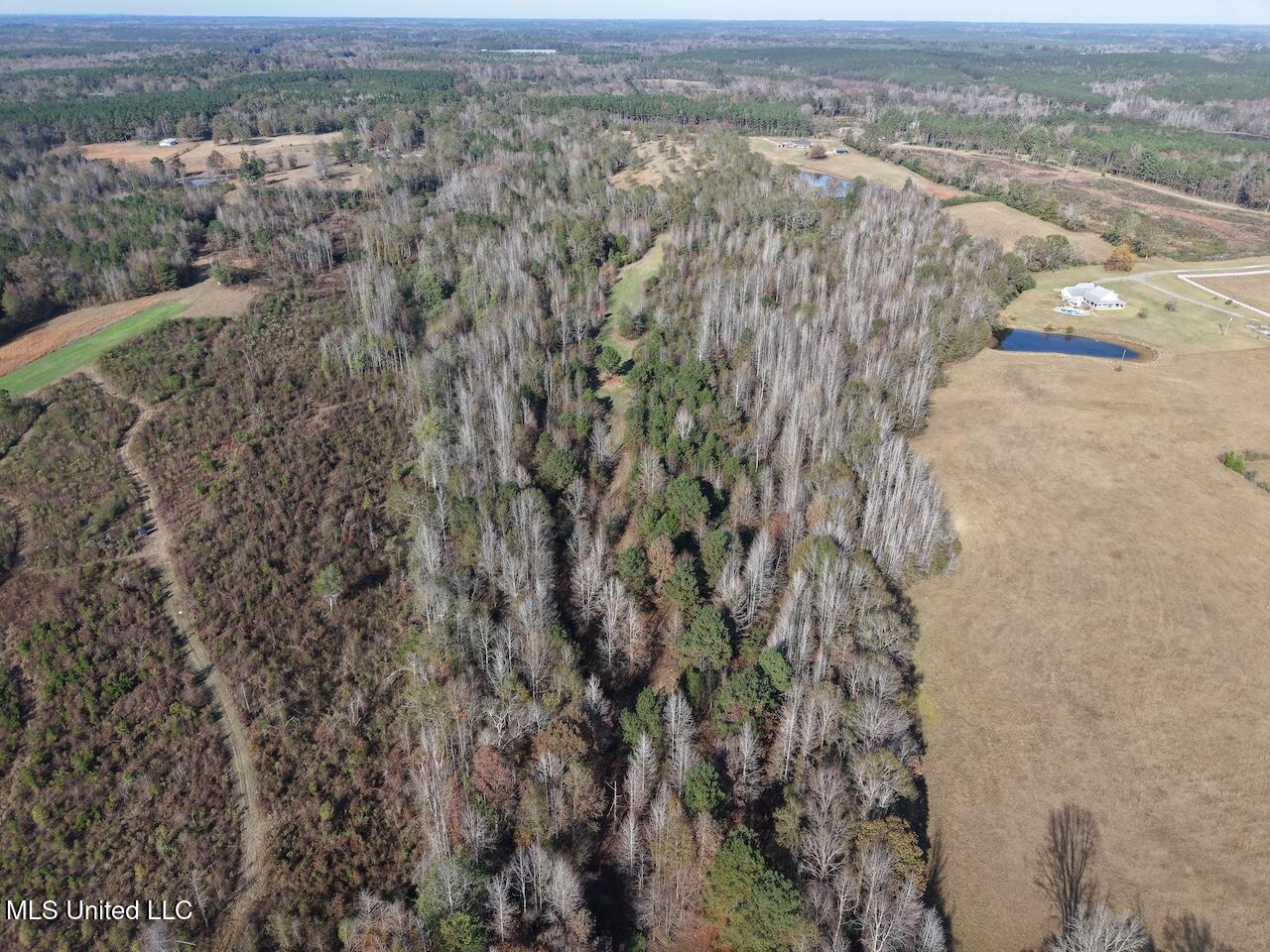 0 Greenland Road Little Rock, MS 39337 - Photo 28 of 40 dji_fly_20251122_135054_0111_17640148643