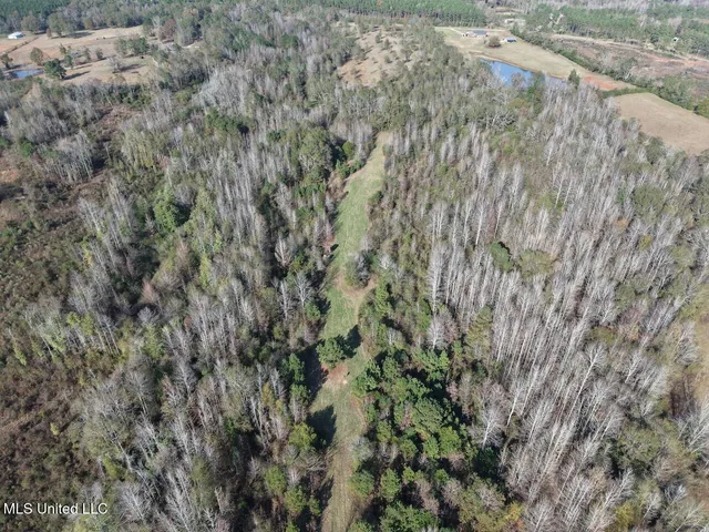 $492,000 | 0 Greenland Road, Little Rock, MS 39337