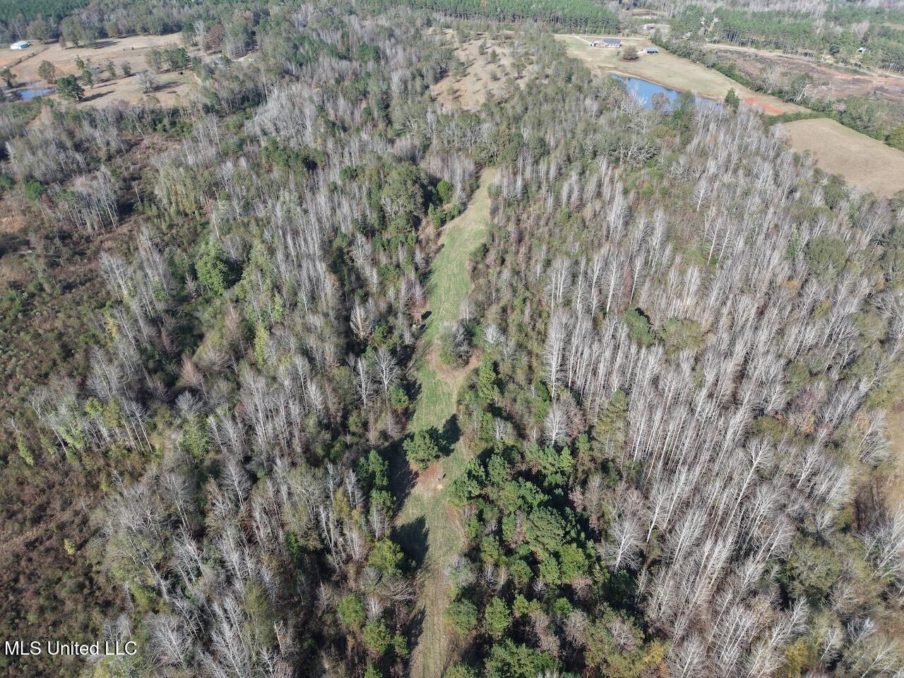 0 Greenland Road Little Rock, MS 39337 - Photo 29 of 40 dji_fly_20251122_135116_0112_17640148634