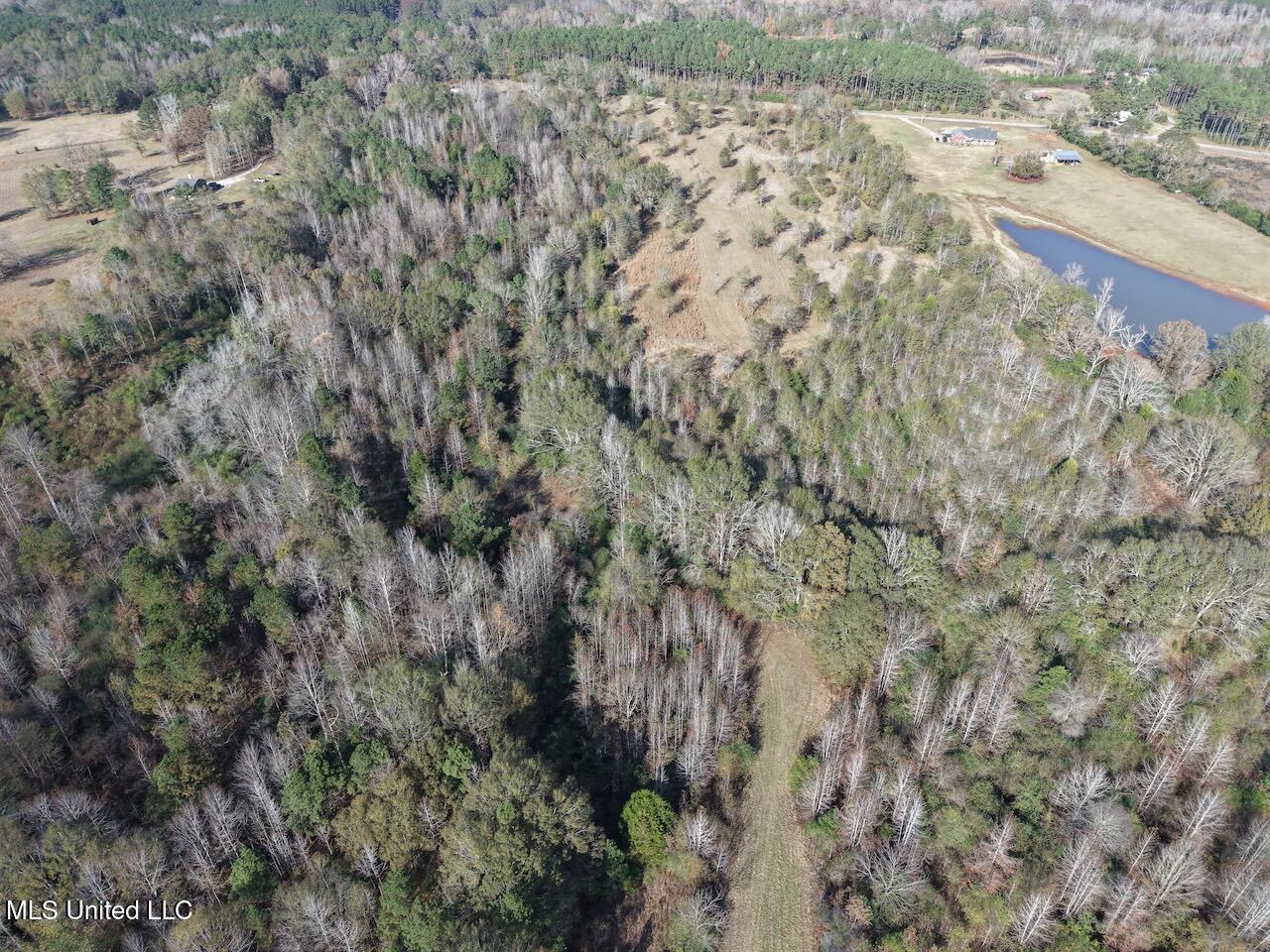 0 Greenland Road Little Rock, MS 39337 - Photo 30 of 40 dji_fly_20251122_135136_0113_17640148623