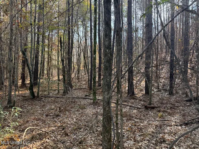 $492,000 | 0 Greenland Road, Little Rock, MS 39337