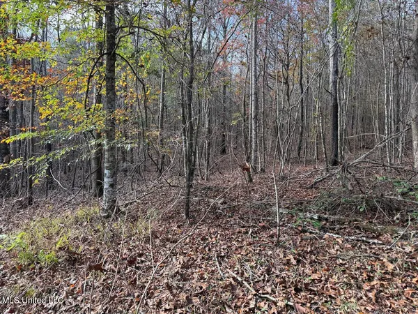 $492,000 | 0 Greenland Road, Little Rock, MS 39337