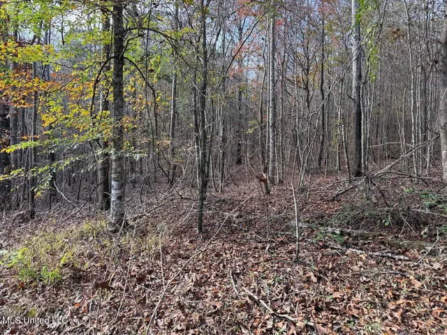 $492,000 | 0 Greenland Road, Little Rock, MS 39337