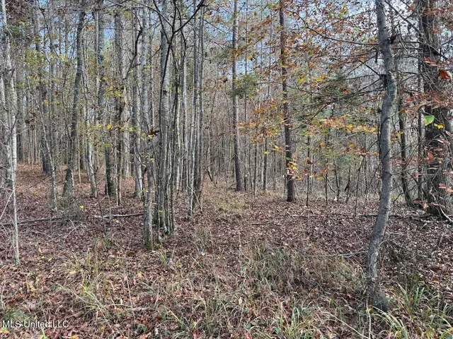 $492,000 | 0 Greenland Road, Little Rock, MS 39337