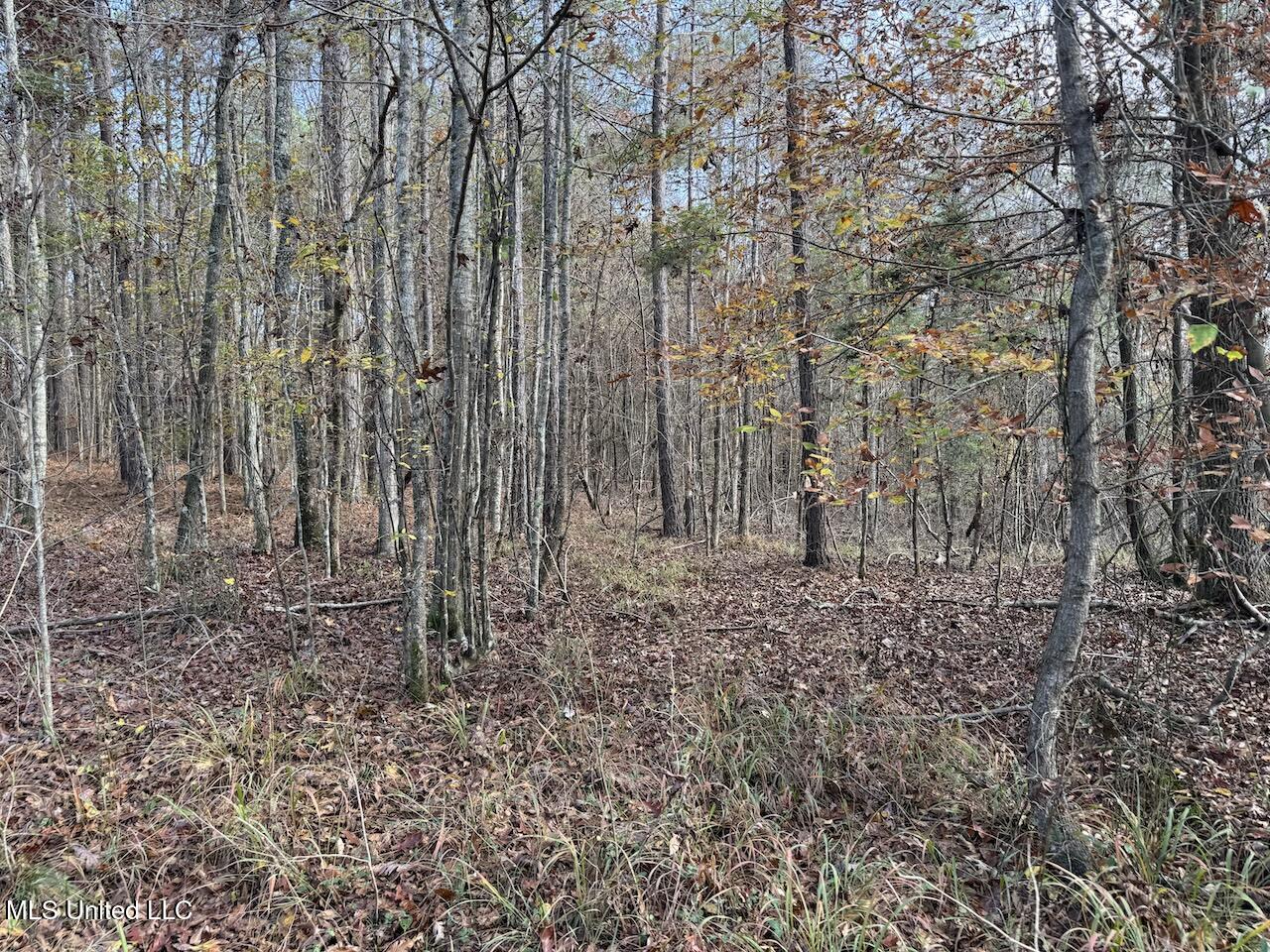 0 Greenland Road Little Rock, MS 39337 - Photo 35 of 40 IMG_2707