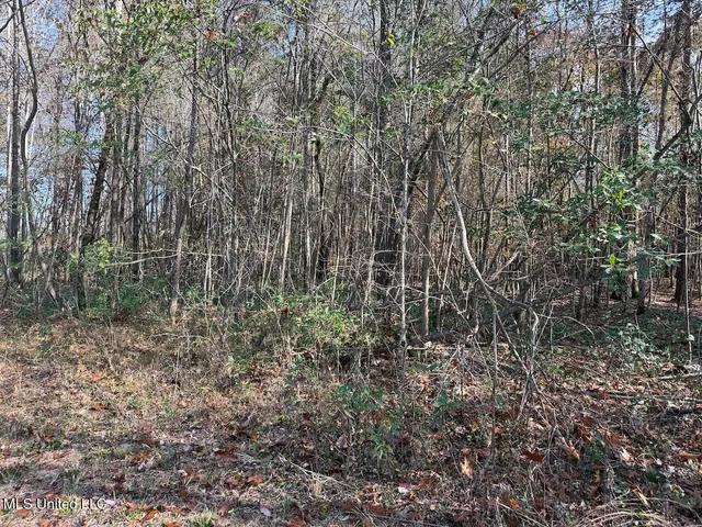 $492,000 | 0 Greenland Road, Little Rock, MS 39337