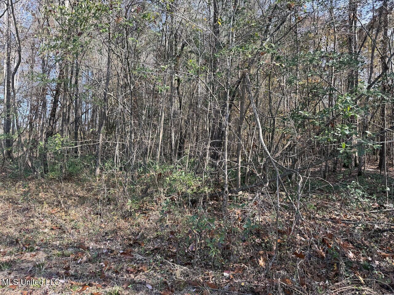 0 Greenland Road Little Rock, MS 39337 - Photo 37 of 40 IMG_2710