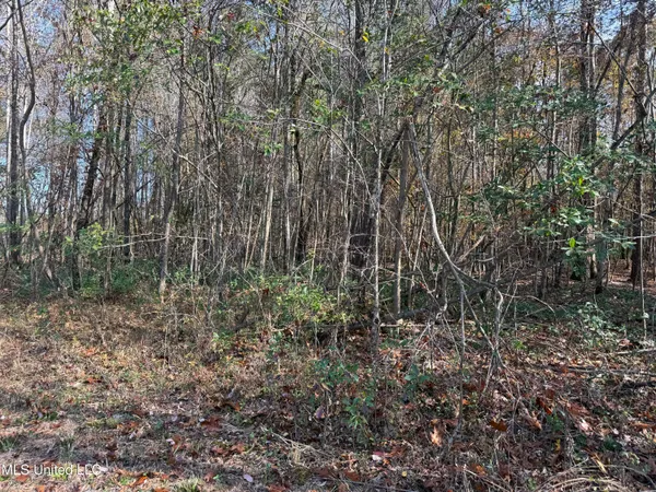 $492,000 | 0 Greenland Road, Little Rock, MS 39337