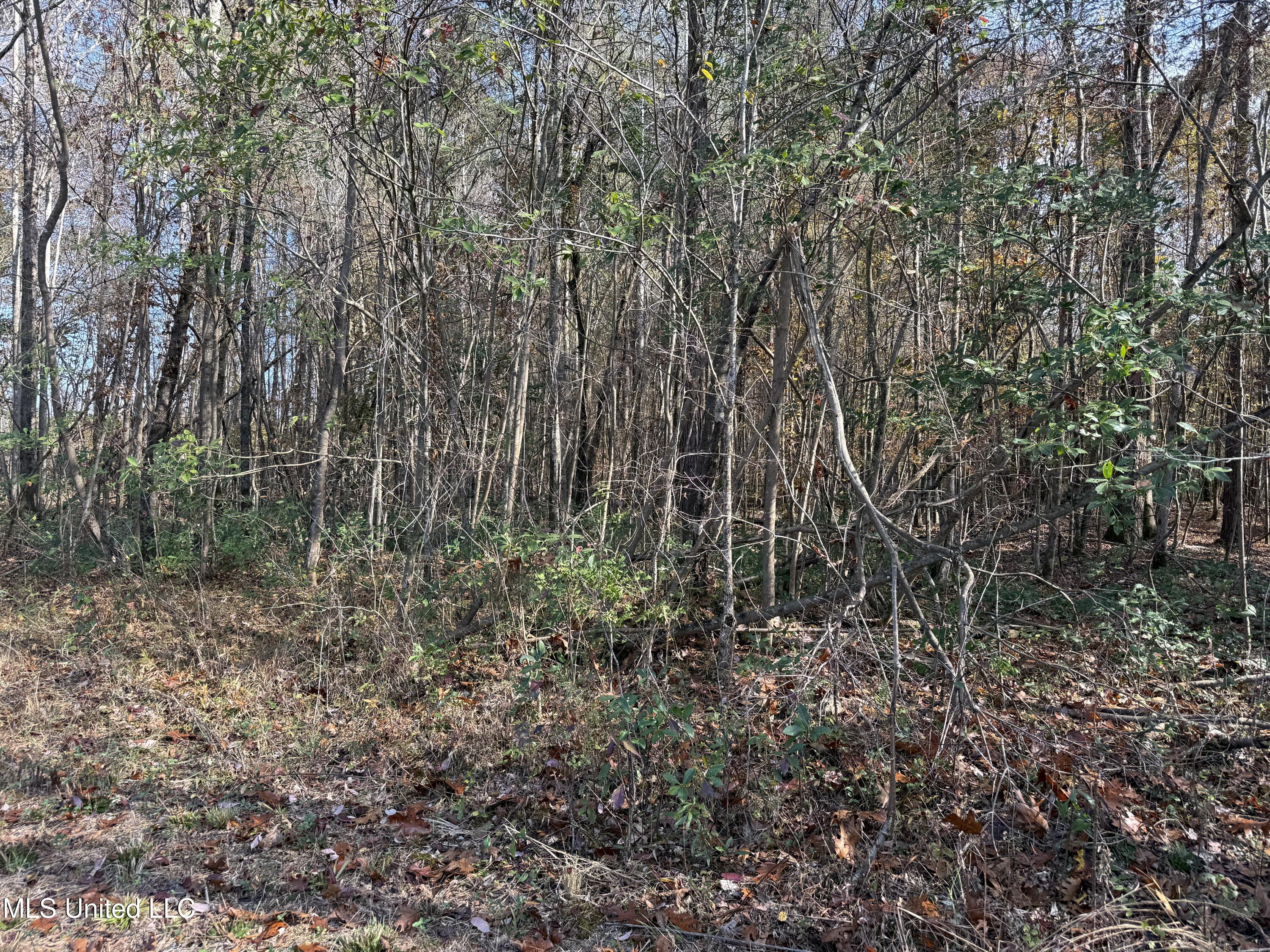 0 Greenland Road Little Rock, MS 39337 - Photo 38 of 40 IMG_2710