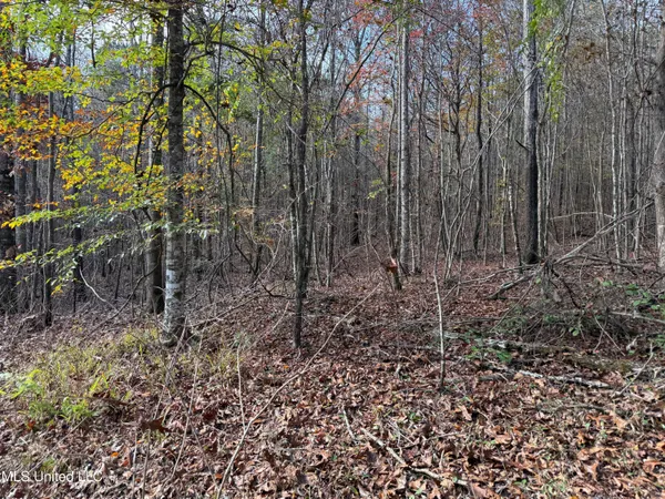 $492,000 | 0 Greenland Road, Little Rock, MS 39337