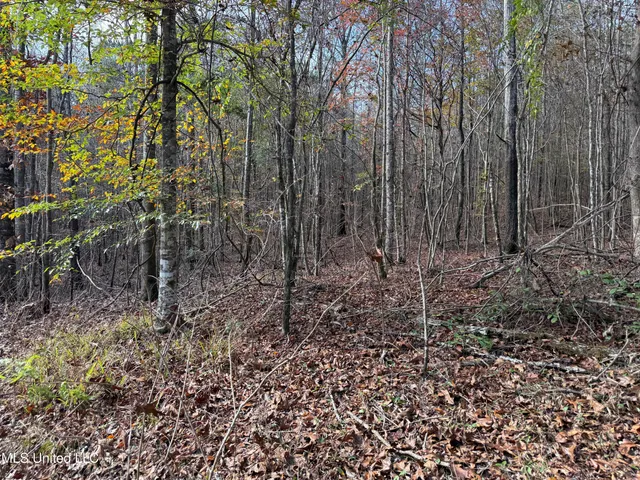 $492,000 | 0 Greenland Road, Little Rock, MS 39337