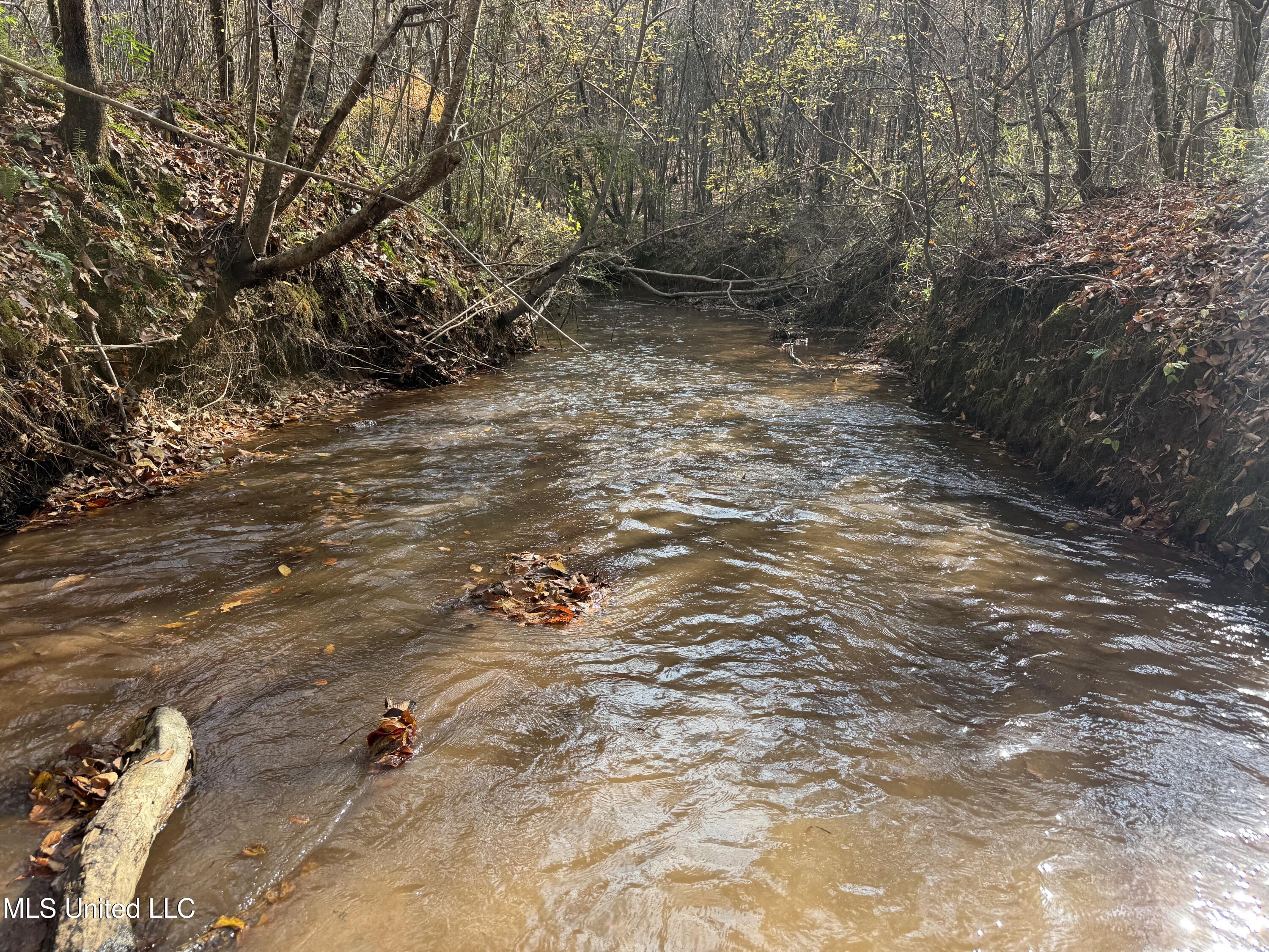 0 Greenland Road Little Rock, MS 39337 - Photo 4 of 40 IMG_2709