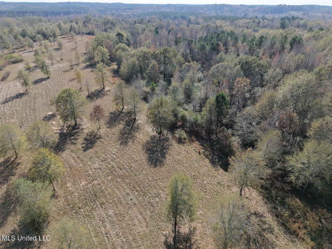 0 Greenland Road Little Rock, MS 39337 - Photo 5 of 40 dji_fly_20251122_133004_0088_17640148886