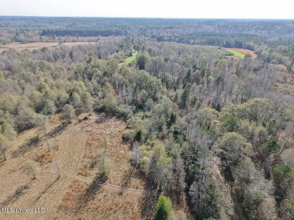 $492,000 | 0 Greenland Road, Little Rock, MS 39337