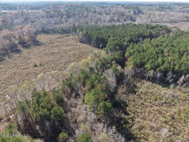 $492,000 | 0 Greenland Road, Little Rock, MS 39337