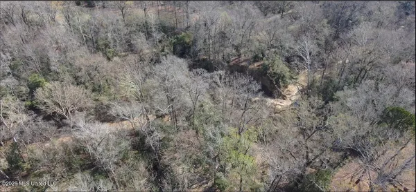 $695,000 | 200 Gloucester Road, Natchez, MS 39120