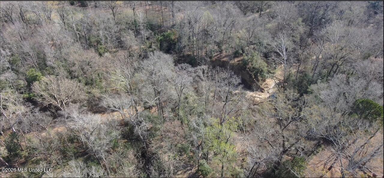 200 Gloucester Road Natchez, MS 39120 - Photo 21 of 23 9112303179500759196