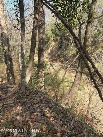 $695,000 | 200 Gloucester Road, Natchez, MS 39120