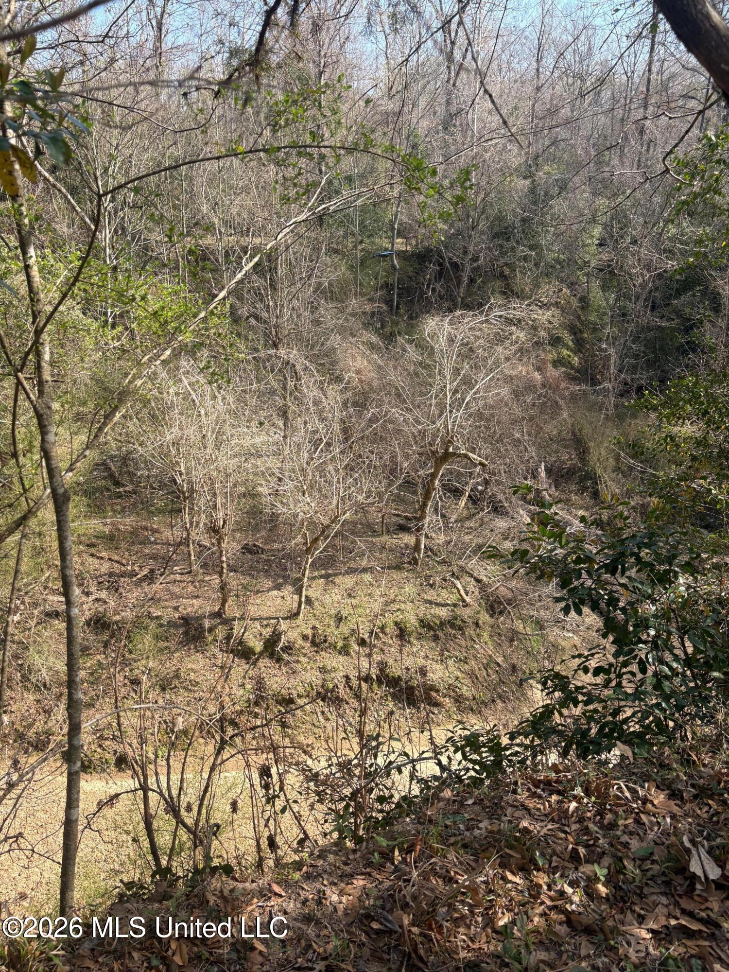 200 Gloucester Road Natchez, MS 39120 - Photo 23 of 23 IMG_1324