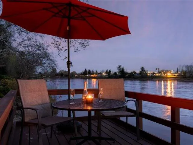 a view of a backyard with potted plants and large trees