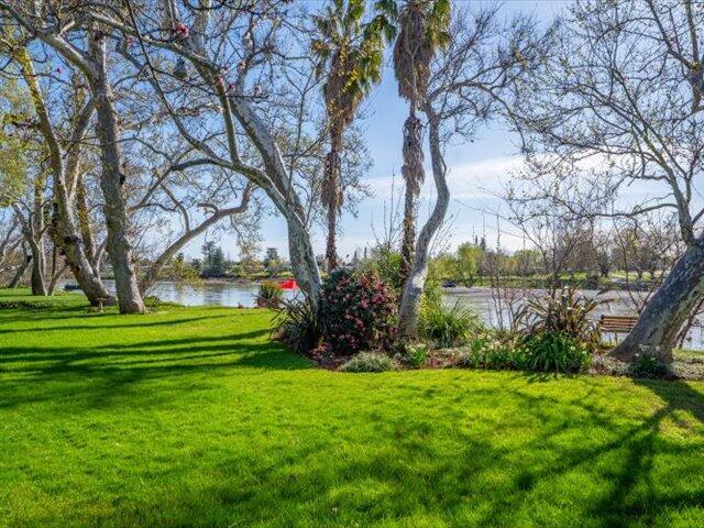 195 Howell Avenue Red Bluff, CA 96080 - Photo 40 of 66 a view of a garden with trees