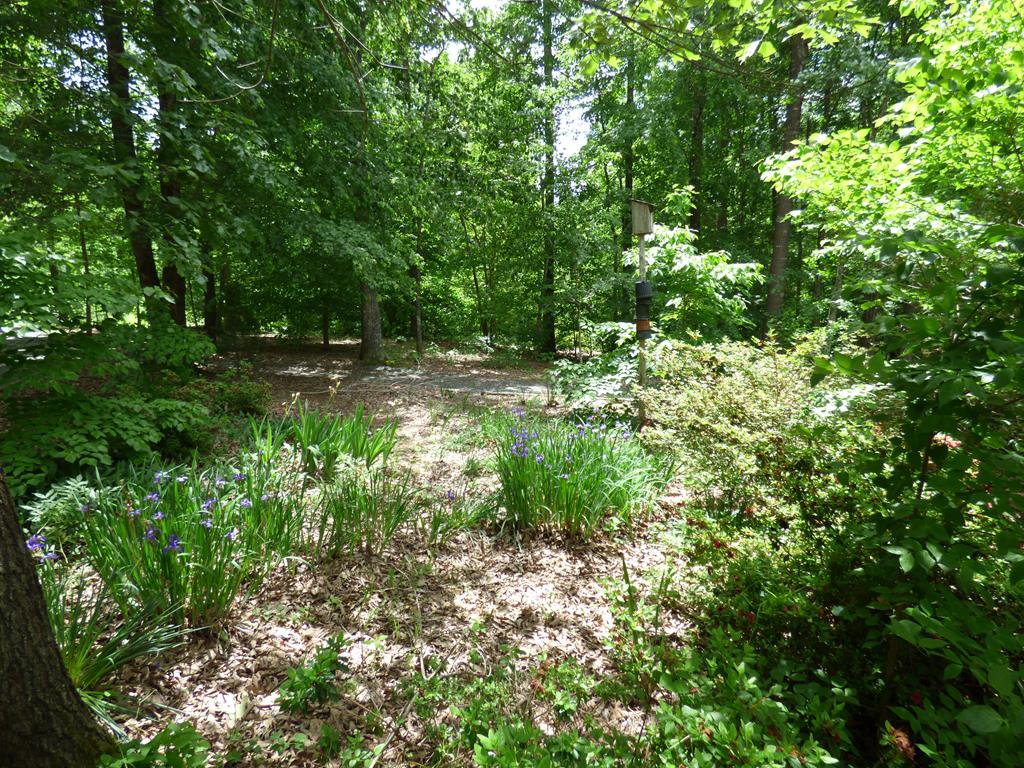 297 Legrande Road Dillwyn, VA 23936 - Photo 60 of 65 Gallery Image 60