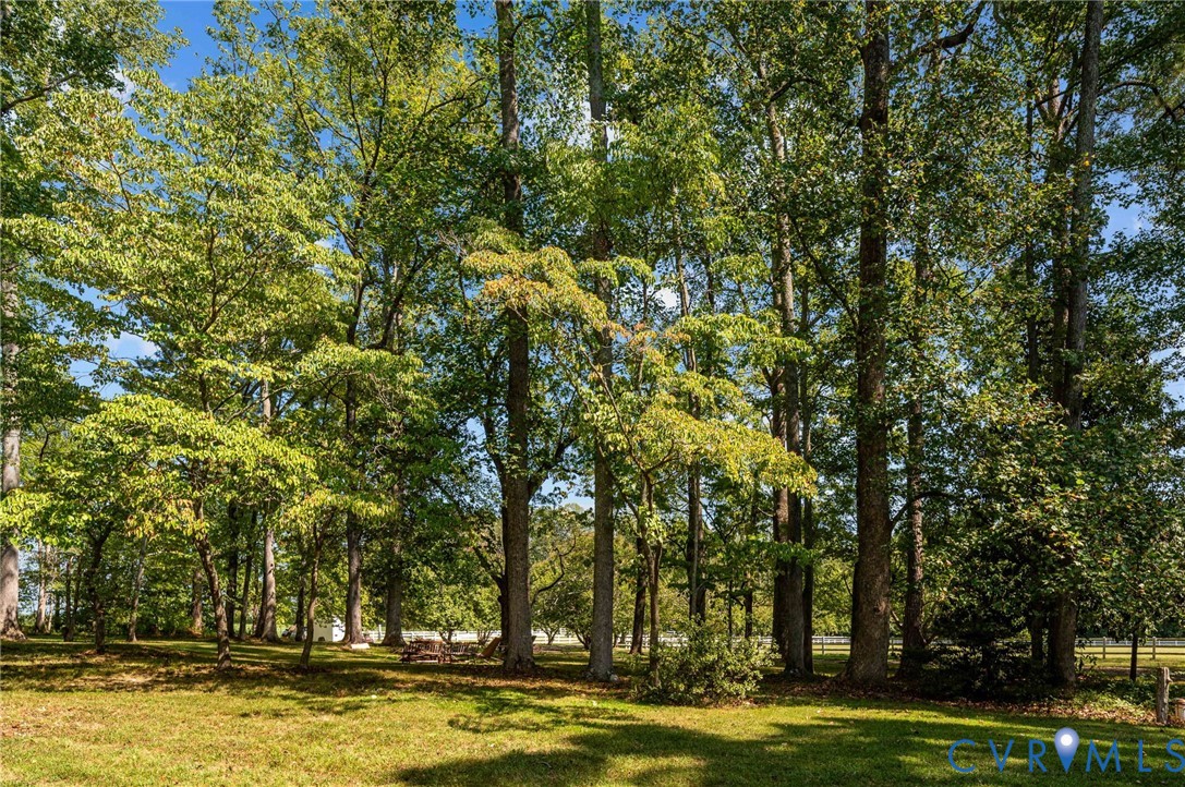 1801 Georgetown Road Heathsville, VA 22473 - Photo 17 of 83 Expansive lawn area bordered by numerous mature tr