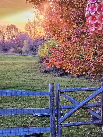 $421,000 | 1268 Maple Lane, Brooklyn, MI 49230