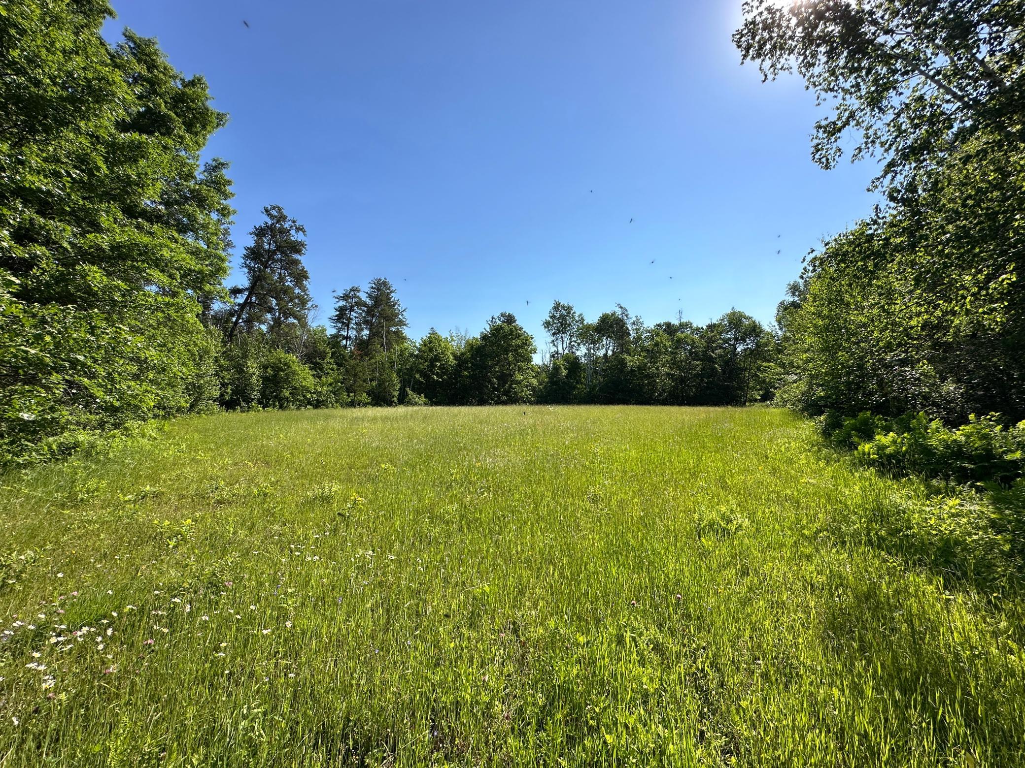 Tbd 205th Avenue Sebeka, MN 56477 - Photo 16 of 21