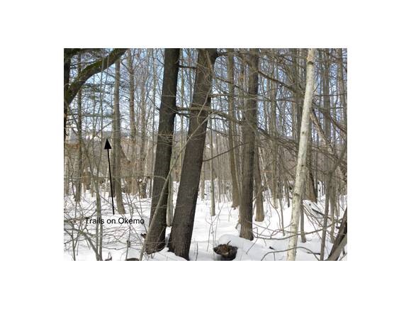 Lot #3 Upper Cross Road Ludlow, VT 05149 - Photo 1 of 1 Gallery Image 1