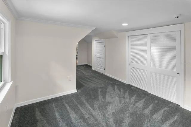 a view of a road with plants and trees