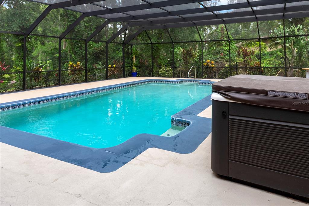 2202 Amity Court New Port Richey, FL 34655 - Photo 50 of 72