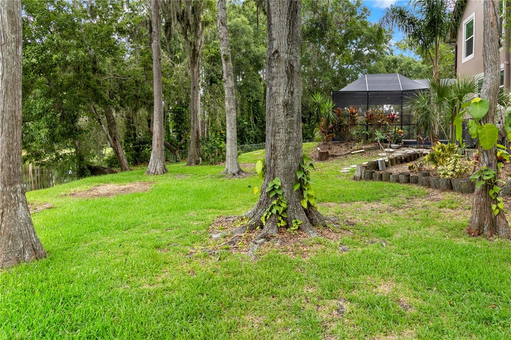 2202 Amity Court New Port Richey, FL 34655 - Photo 56 of 72