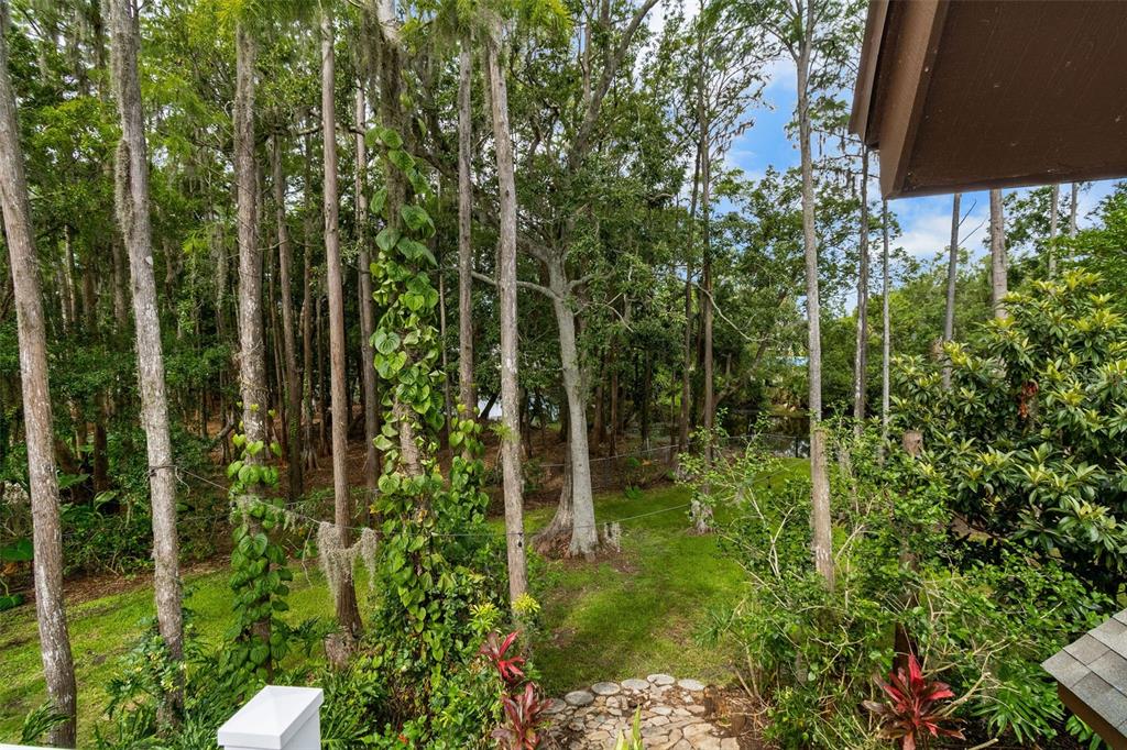 2202 Amity Court New Port Richey, FL 34655 - Photo 58 of 72