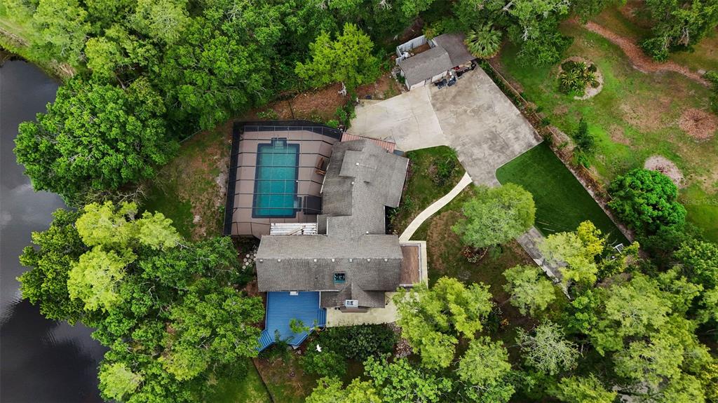 2202 Amity Court New Port Richey, FL 34655 - Photo 60 of 72