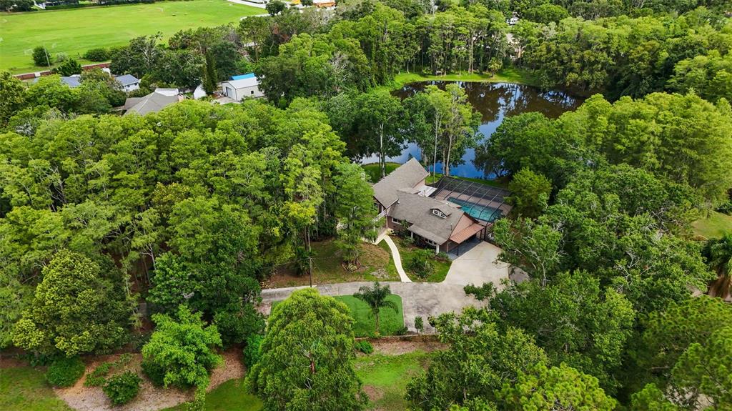 2202 Amity Court New Port Richey, FL 34655 - Photo 64 of 72