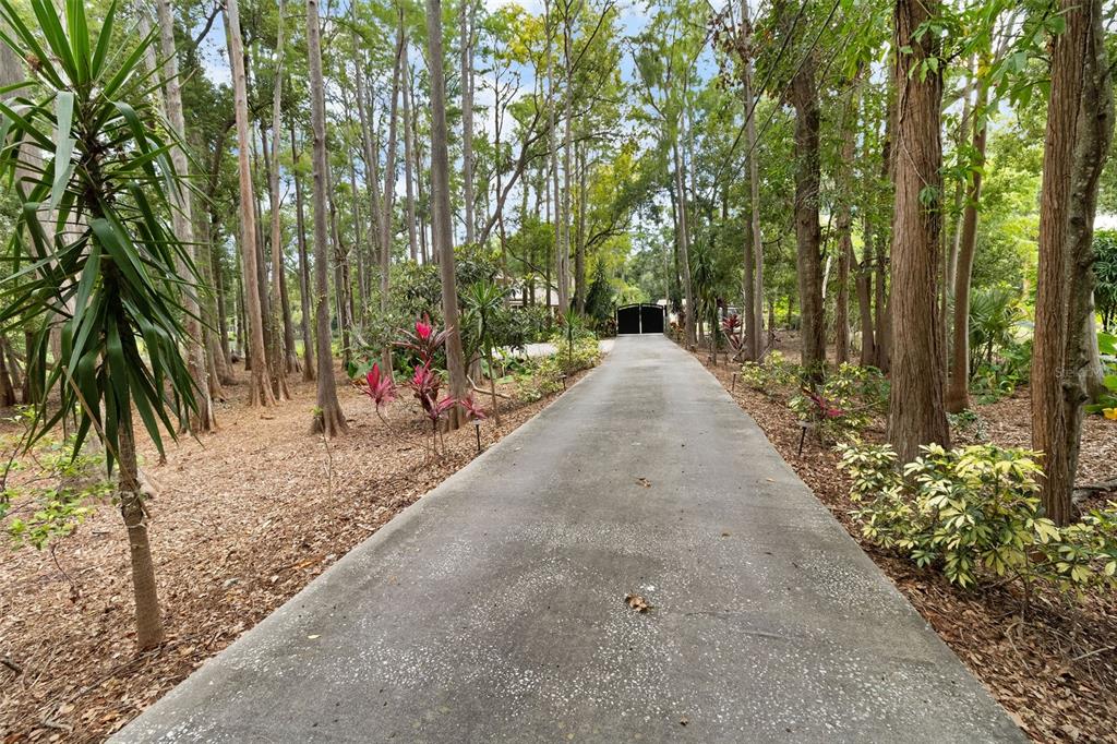 2202 Amity Court New Port Richey, FL 34655 - Photo 66 of 72