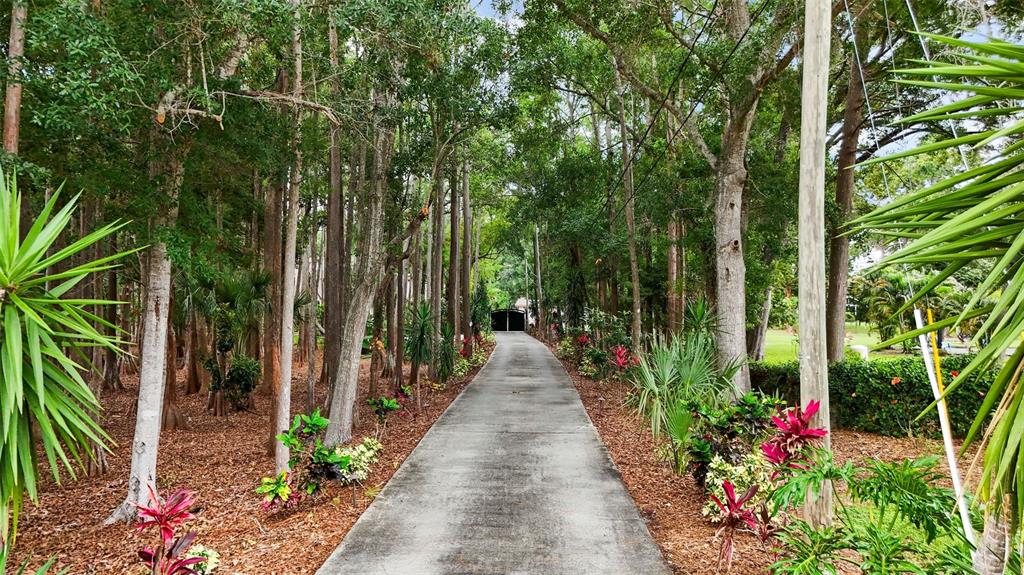 2202 Amity Court New Port Richey, FL 34655 - Photo 67 of 72