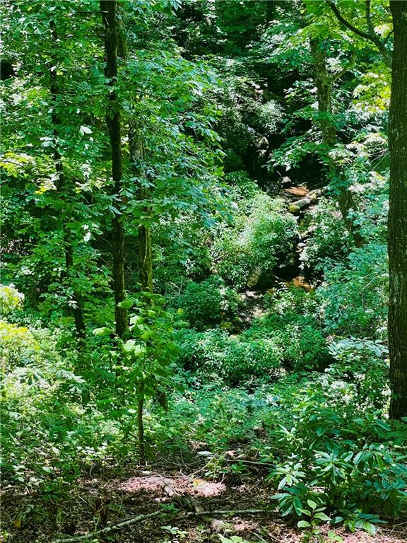 655 Mt Sequoyah Road Jasper, GA 30143 - Photo 15 of 38 Gallery Image 15
