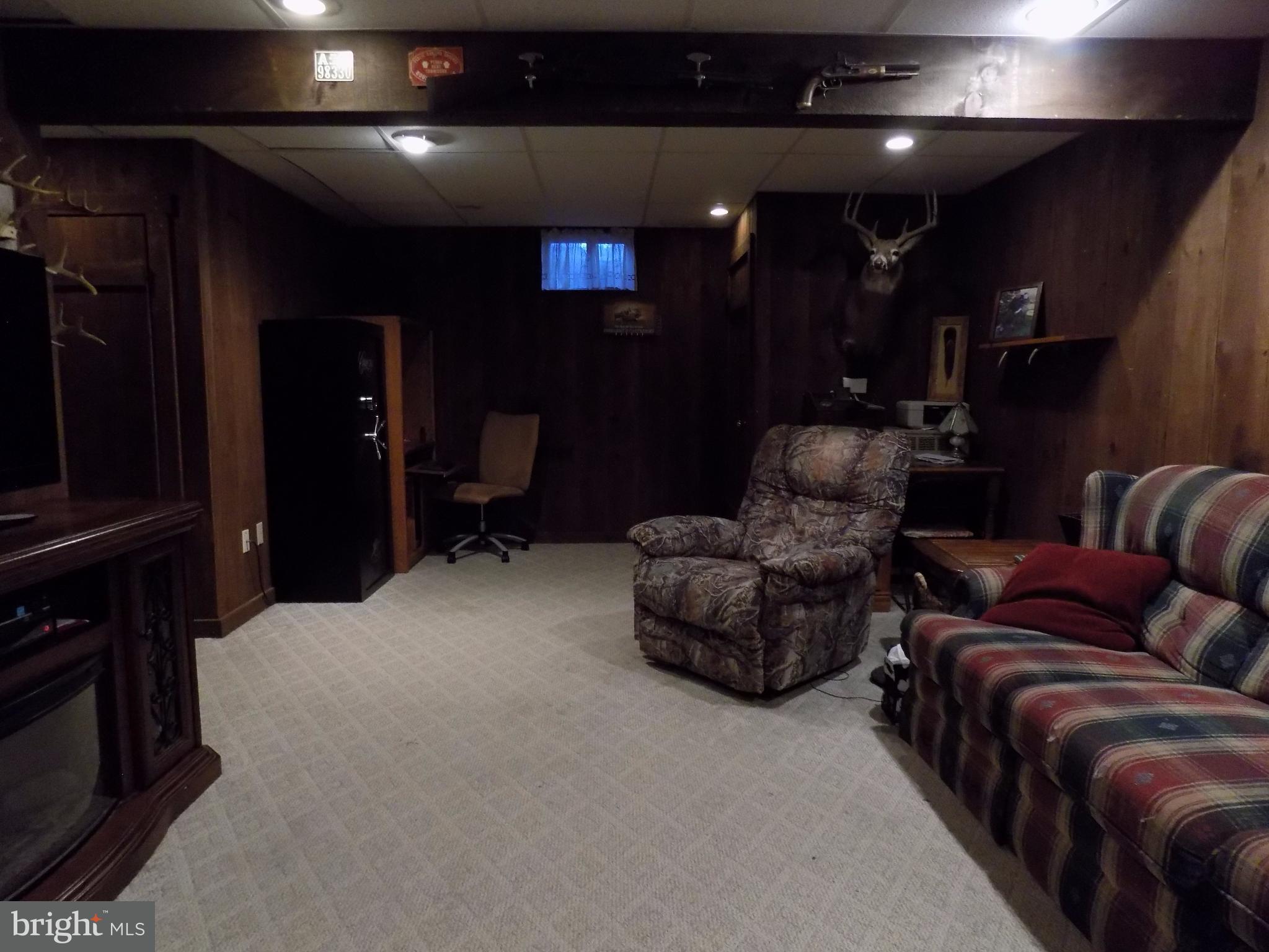 1326 Union Grove Road Terre Hill, PA 17581 - Photo 10 of 25 Finished Lower Level