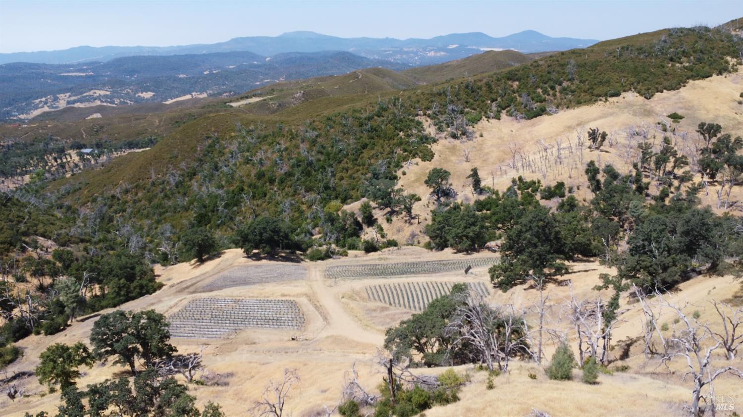 Undisclosed Address Lower Lake, CA 95457 - Photo 12 of 26 a view of a backyard with a lake