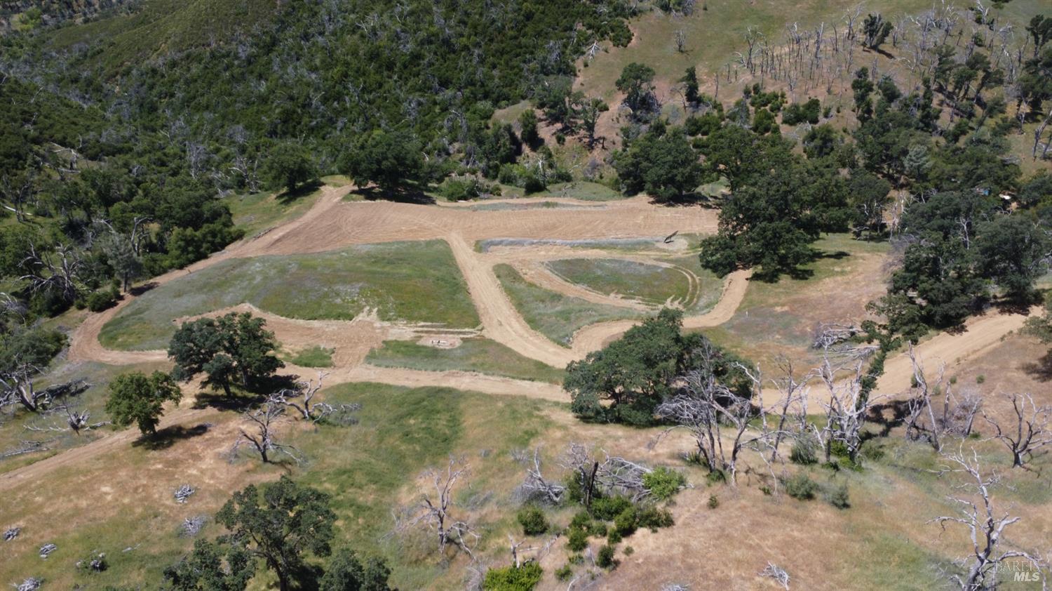 Undisclosed Address Lower Lake, CA 95457 - Photo 16 of 26 a view of a yard with plants and trees