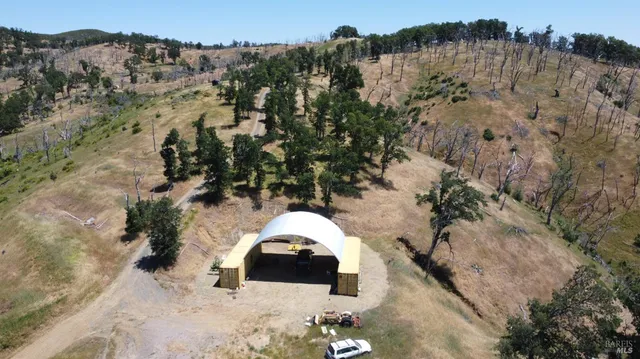 a view of a lush green forest with lots of trees