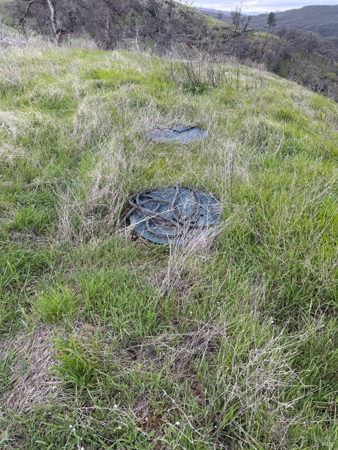 Undisclosed Address Lower Lake, CA 95457 - Photo 22 of 26 a view of a lush green forest with lots of trees