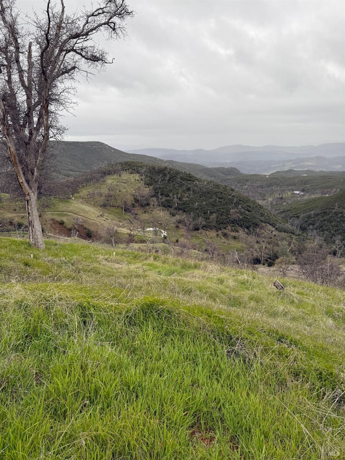 Undisclosed Address Lower Lake, CA 95457 - Photo 23 of 26 a view of an outdoor space and a yard