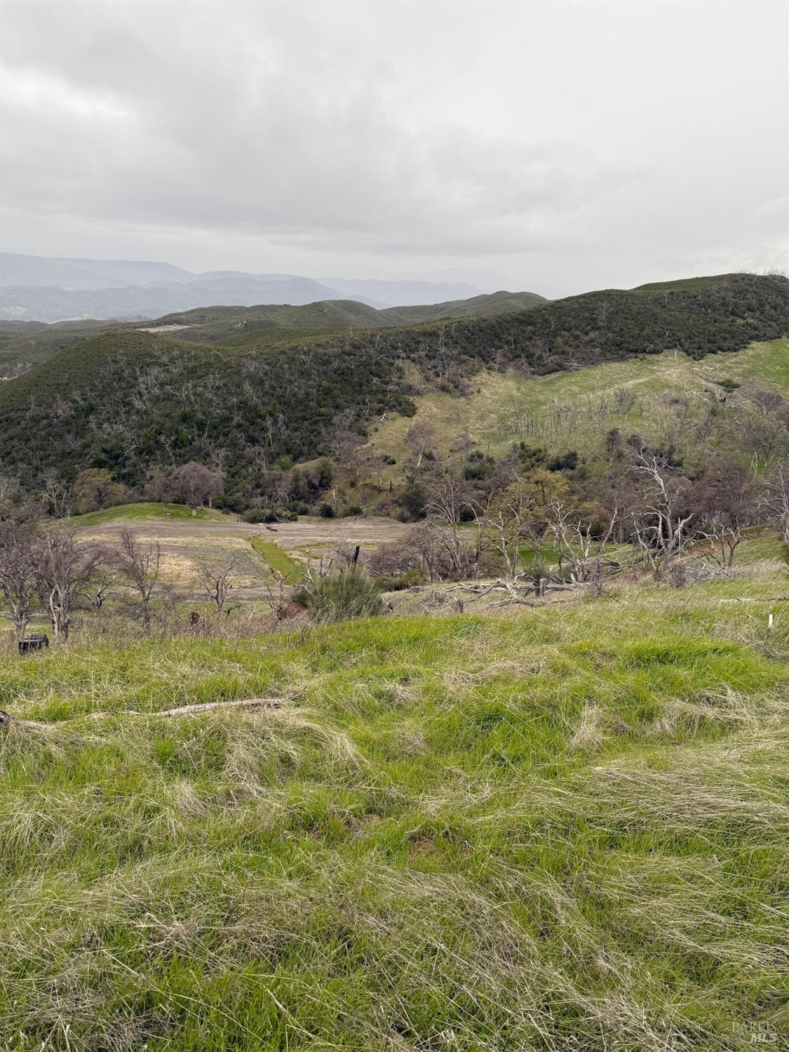 Undisclosed Address Lower Lake, CA 95457 - Photo 24 of 26 a view of mountain with lake view