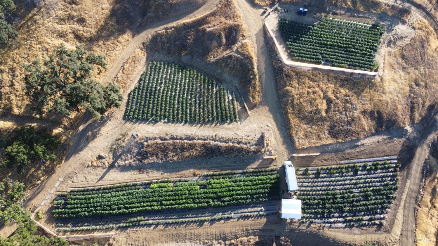 Undisclosed Address Lower Lake, CA 95457 - Photo 3 of 26 a view of a yard